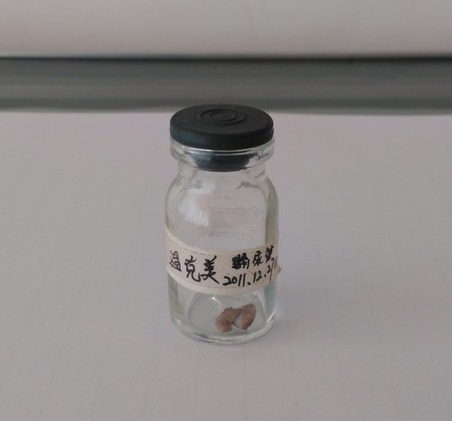 Ҏ(gu)tΑB(ti)ݔܽY(ji)ʯ