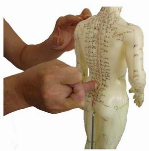 ^ָᘼg(sh)֮(c)ƽƽ(ni)ָ