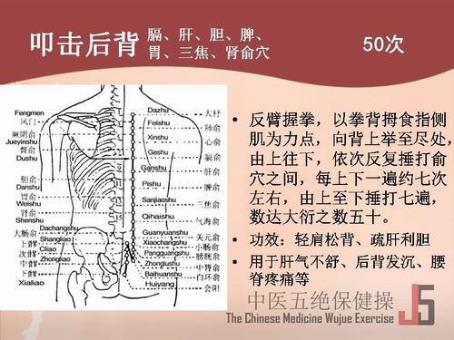 t^ߵ󱳣ߵΡđƢθIѨ50