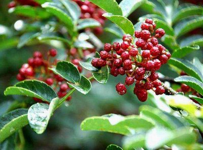 <a href=http://www.x3hz.cn target=_blank class=infotextkey>t</a>Ȥf