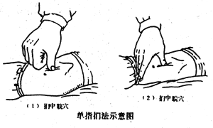 <a href=http://www.x3hz.cn target=_blank class=infotextkey>t(y)</a>ָᘯĻַ