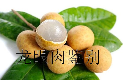 <a href=http://www.x3hz.cn target=_blank class=infotextkey>中醫</a>教你如何鑒別龍眼肉的真假